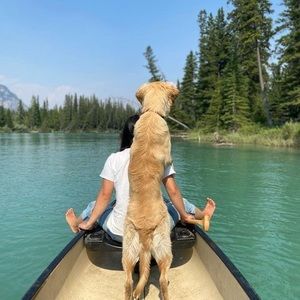 Meet your Posher, Chika